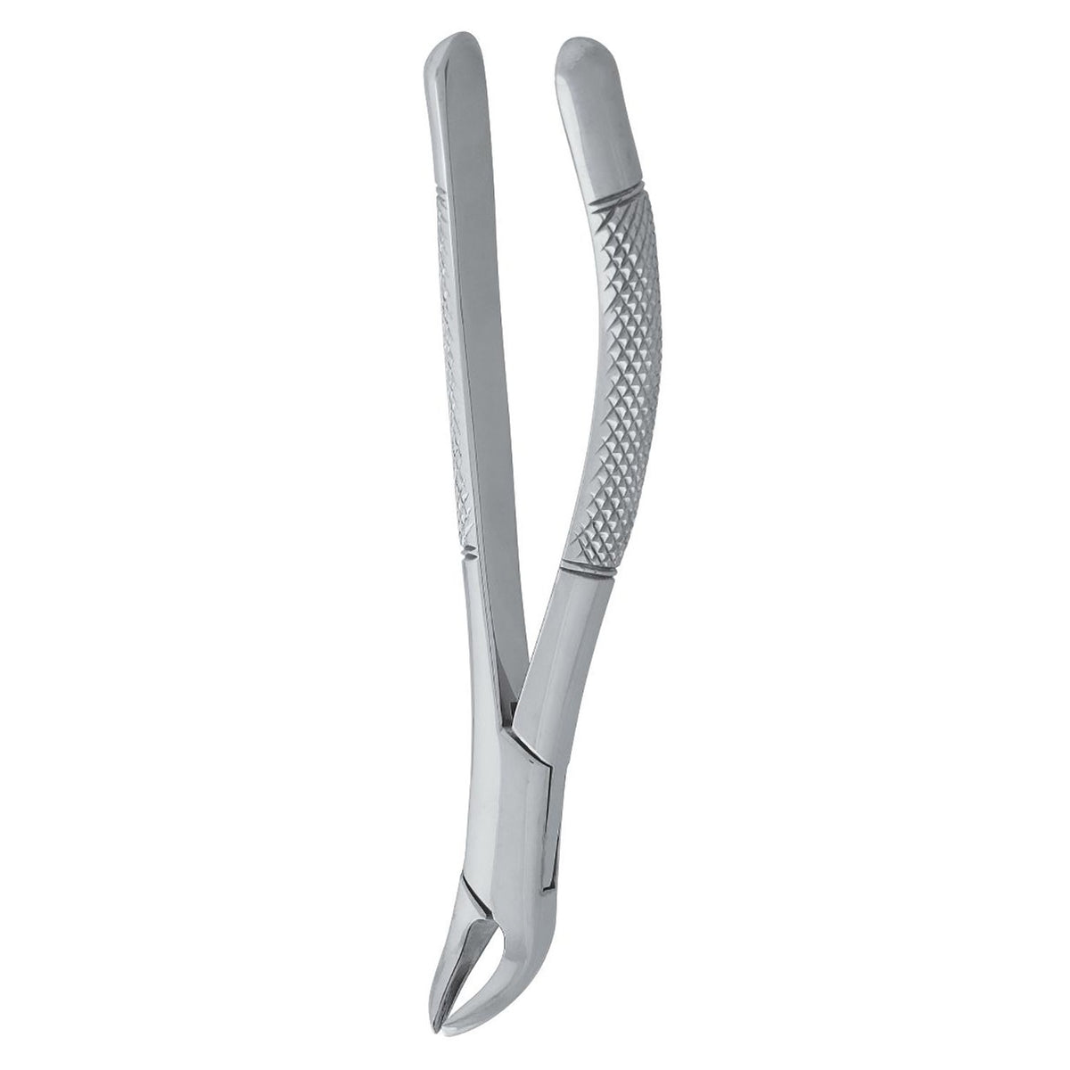 Lower Forceps – German Stainless Steel Mandibular Extraction Forceps, Patterns No. 74N, No. 74XN, and No.