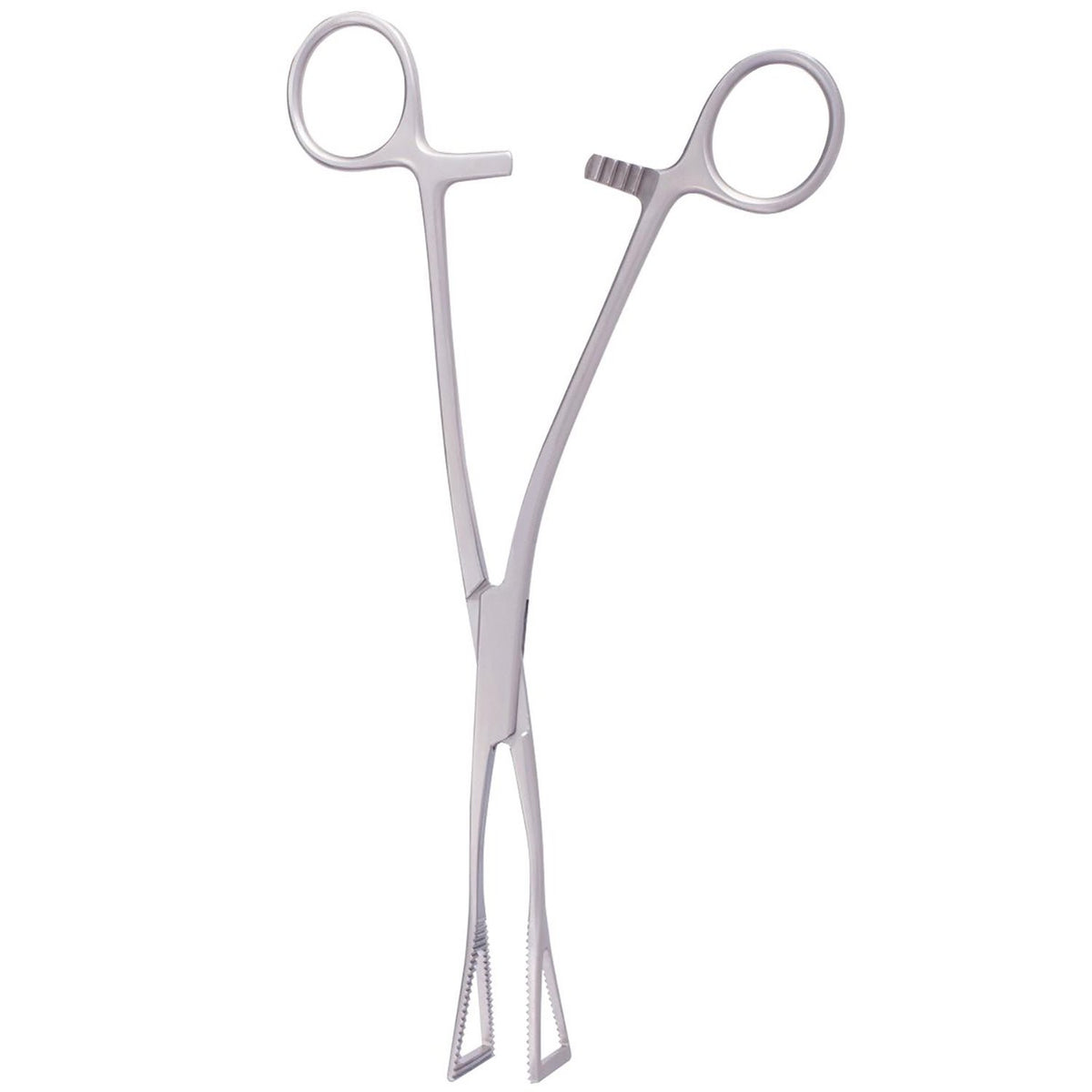 Lovelace Lung Forceps 19cm