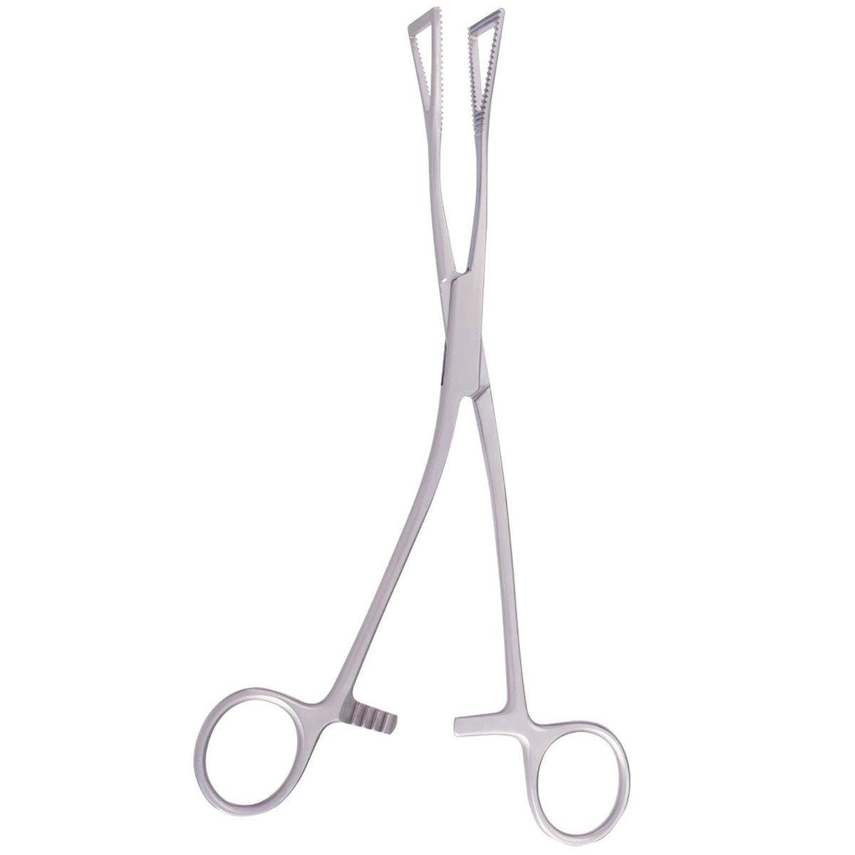 Lovelace Lung Forceps 19cm