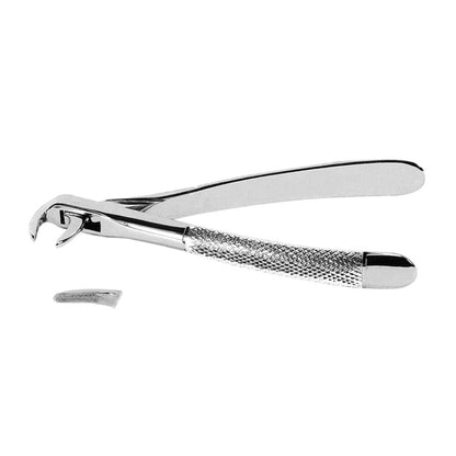 Extraction Forceps Dentistry