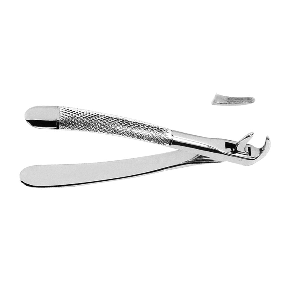 Extraction Forceps Dentistry