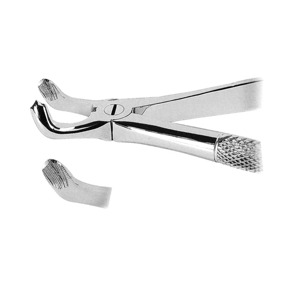 Extracting Forceps Lower Third Molars