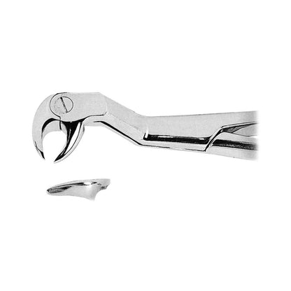Extracting Forceps Lower Third Molars Right