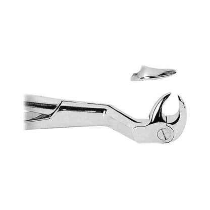 Extracting Forceps Lower Third Molars Right