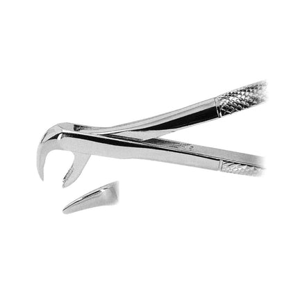 Upper Molars With Broken Crowns With Serrated Tips