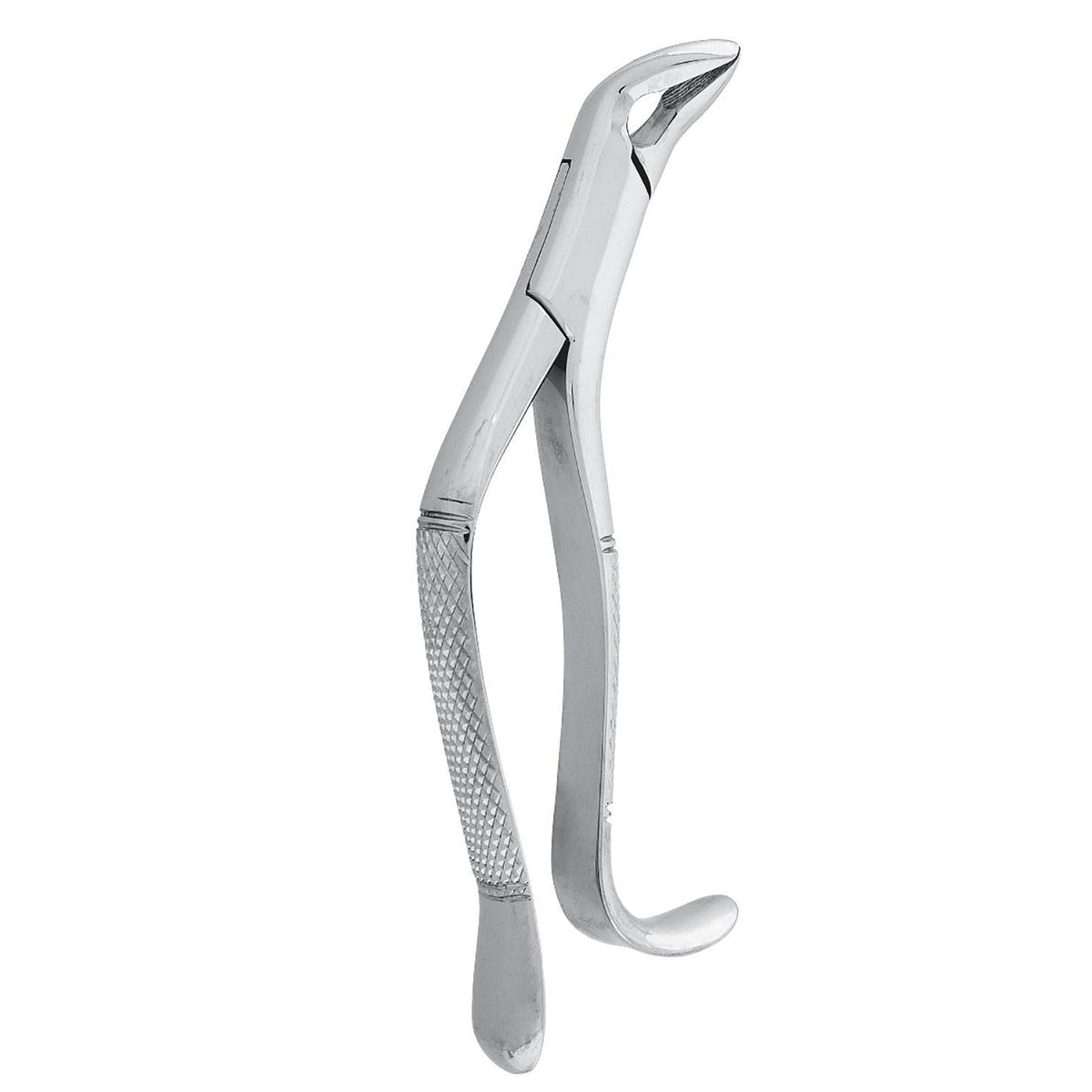 Extracting Forceps Curved 5"