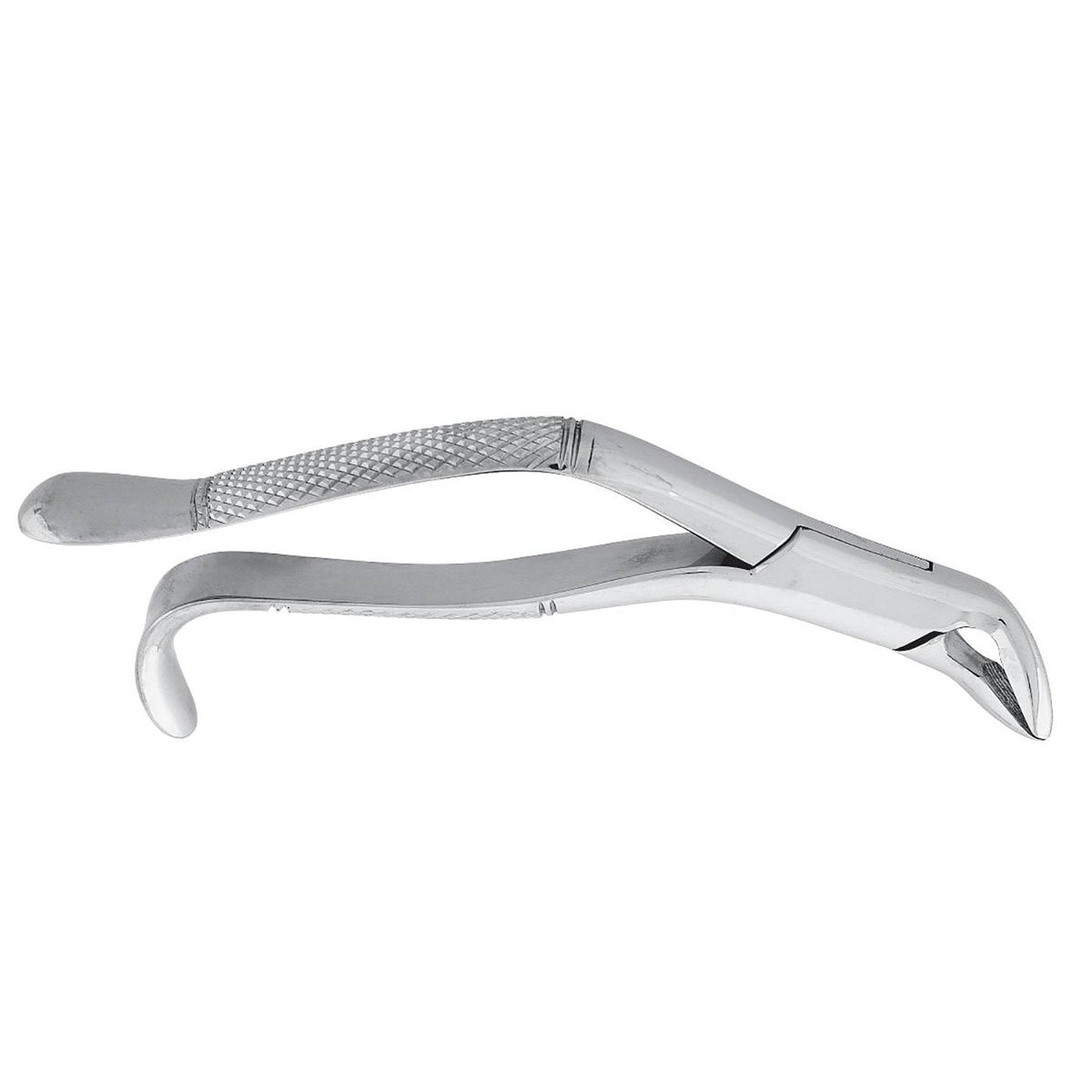Extracting Forceps Curved 5"
