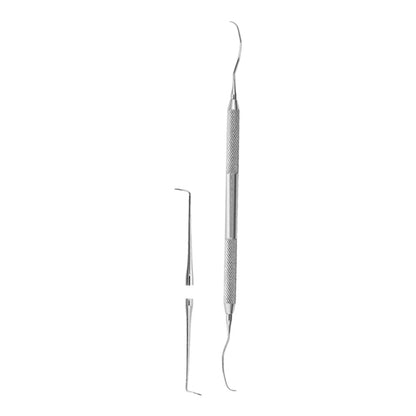 Tooth Explorer