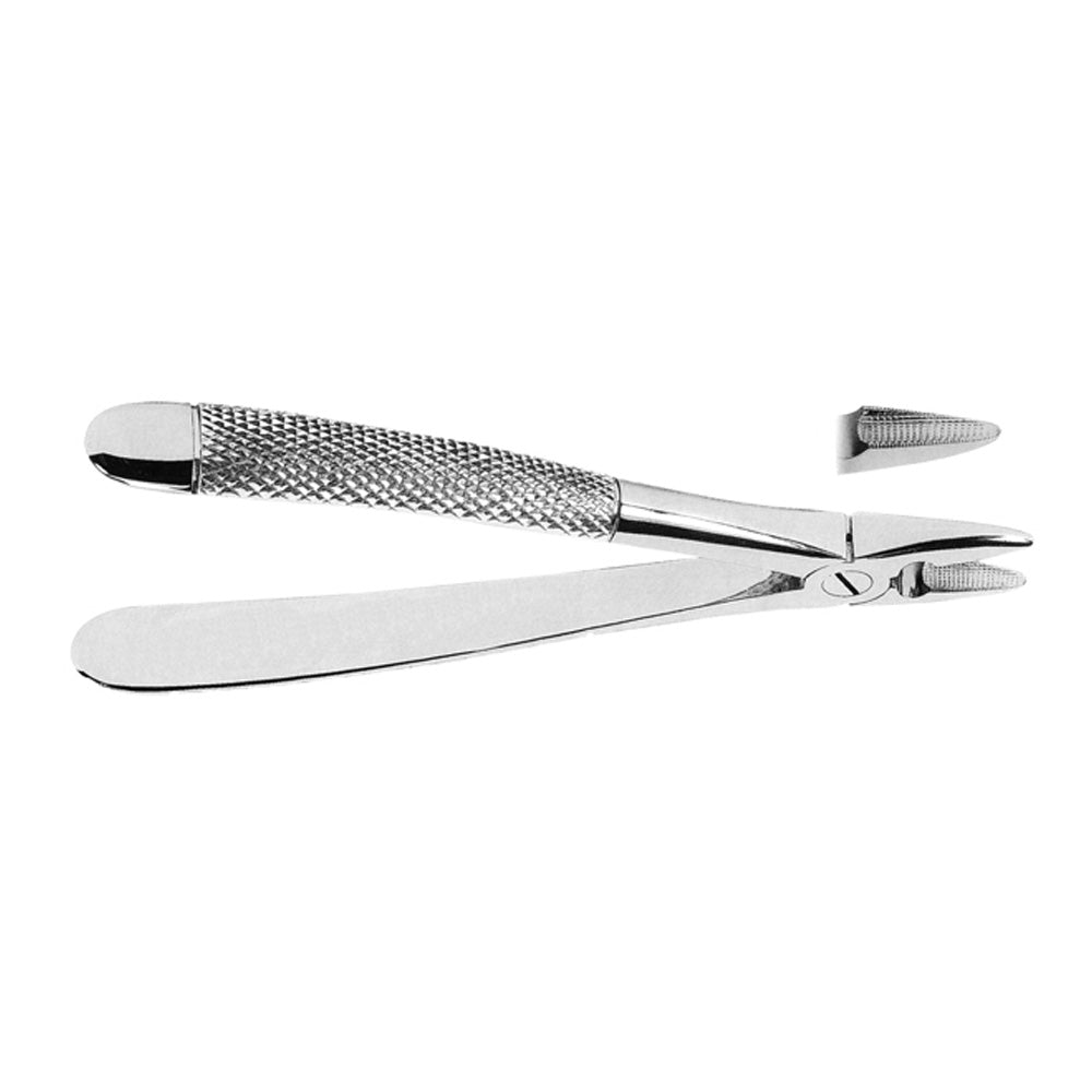 Universal Extracting Forceps for Upper Incisors and canines With Serrated Tips