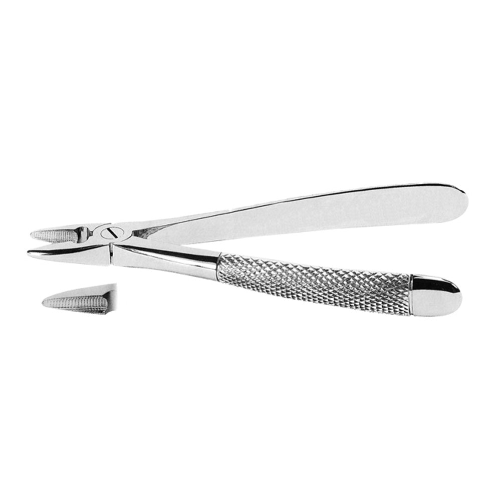 Universal Extracting Forceps for Upper Incisors and canines With Serrated Tips