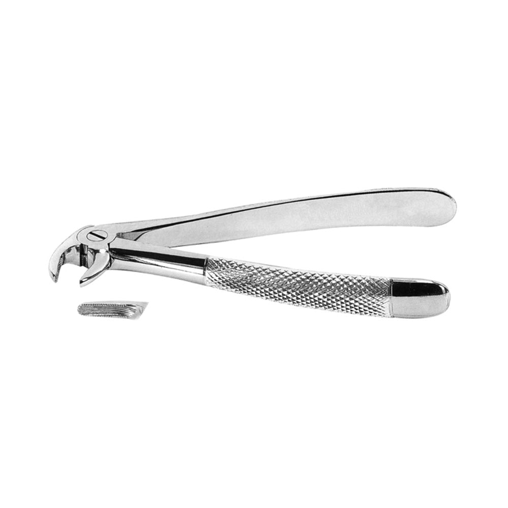 Premolar Forceps Lower With Serrated Tips