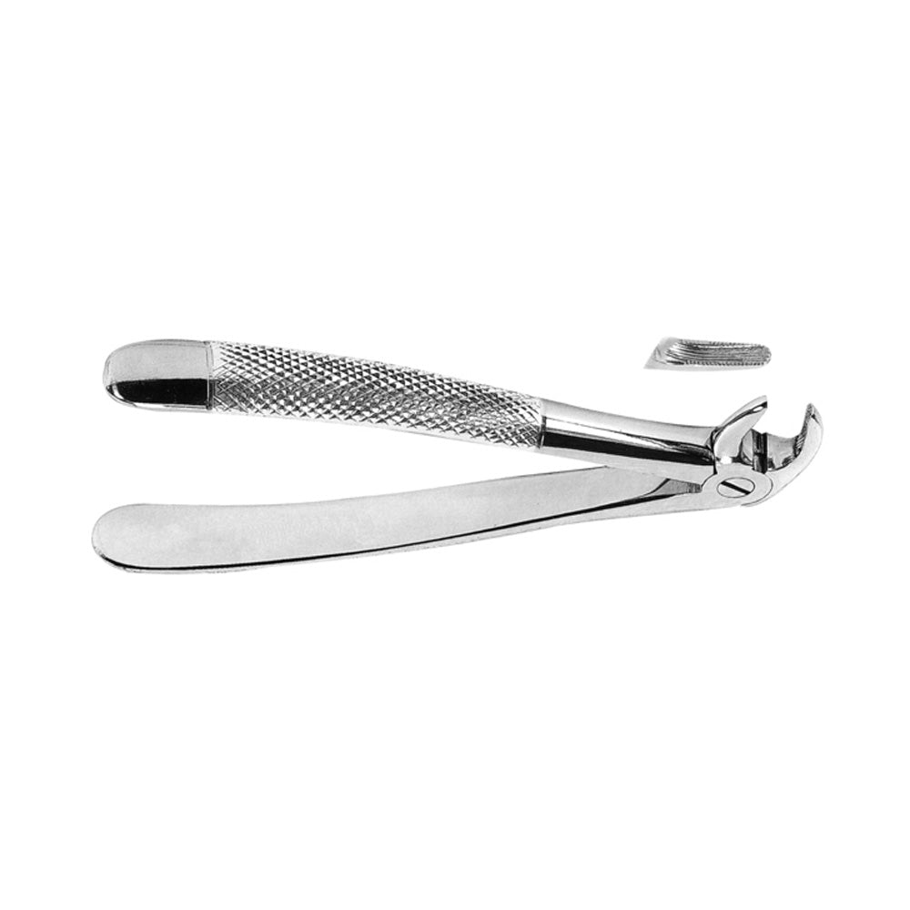 Premolar Forceps Lower With Serrated Tips