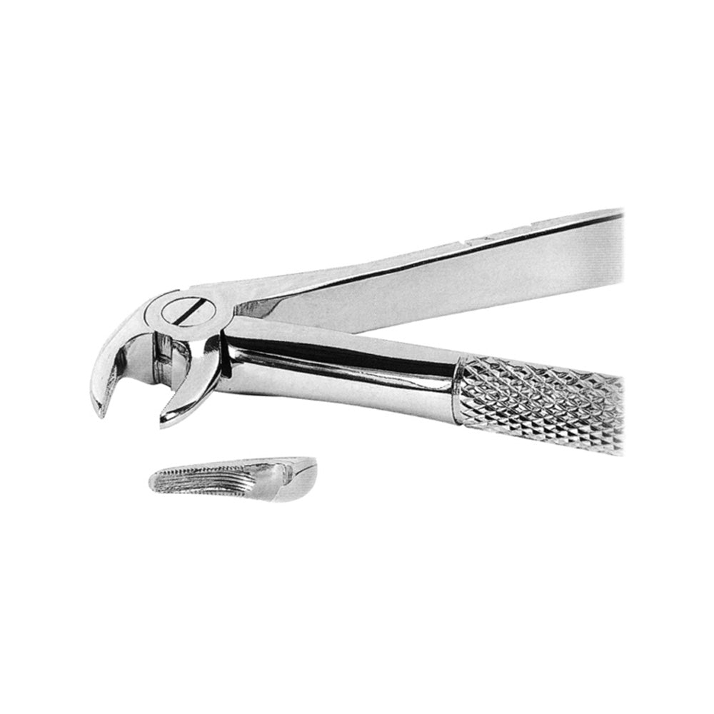 Maxillary Right Lower Molar Forceps