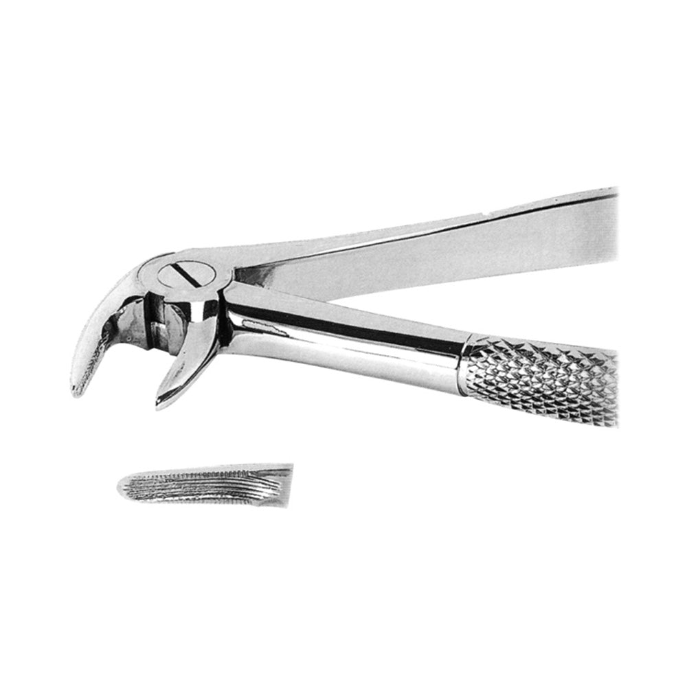 Lower Incisor Forceps With Serrated Tips