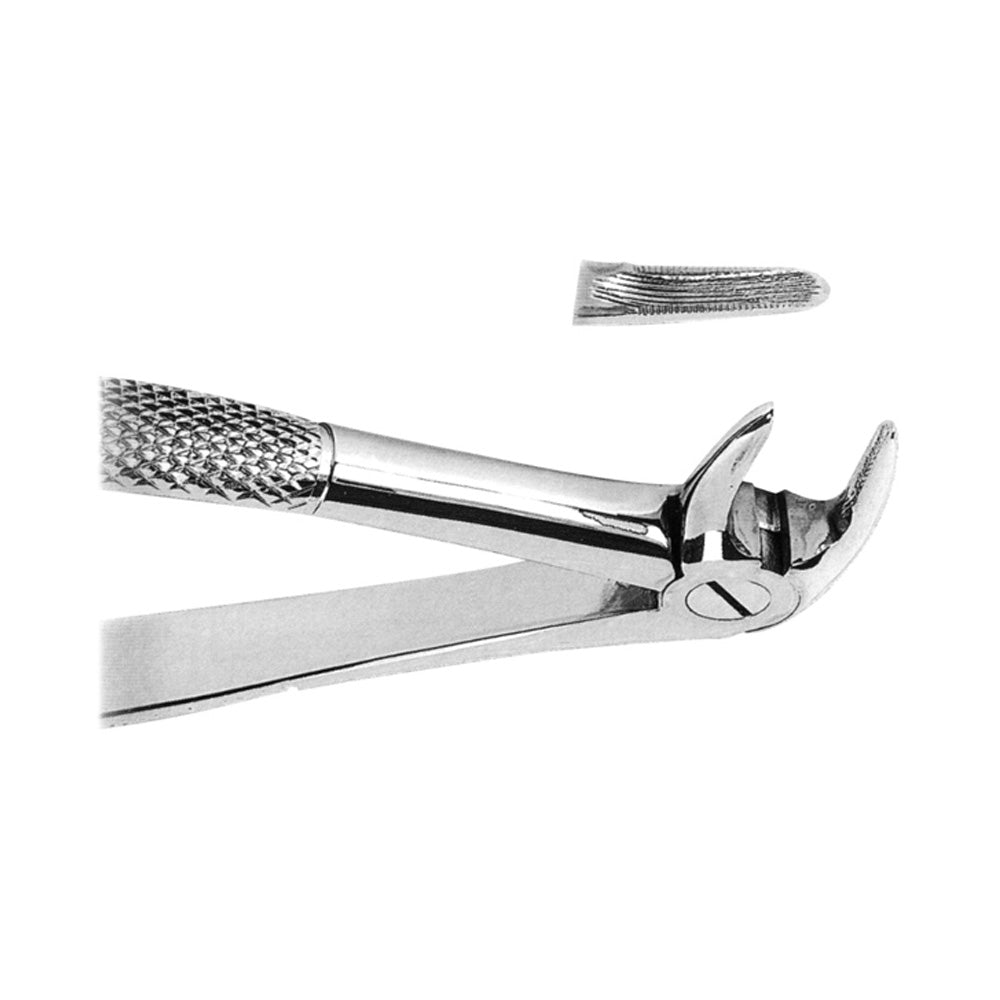 Lower Incisor Forceps With Serrated Tips