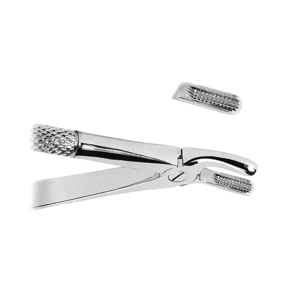 Mead Pattern Upper Molars With Serrated Tips Mead Pattern