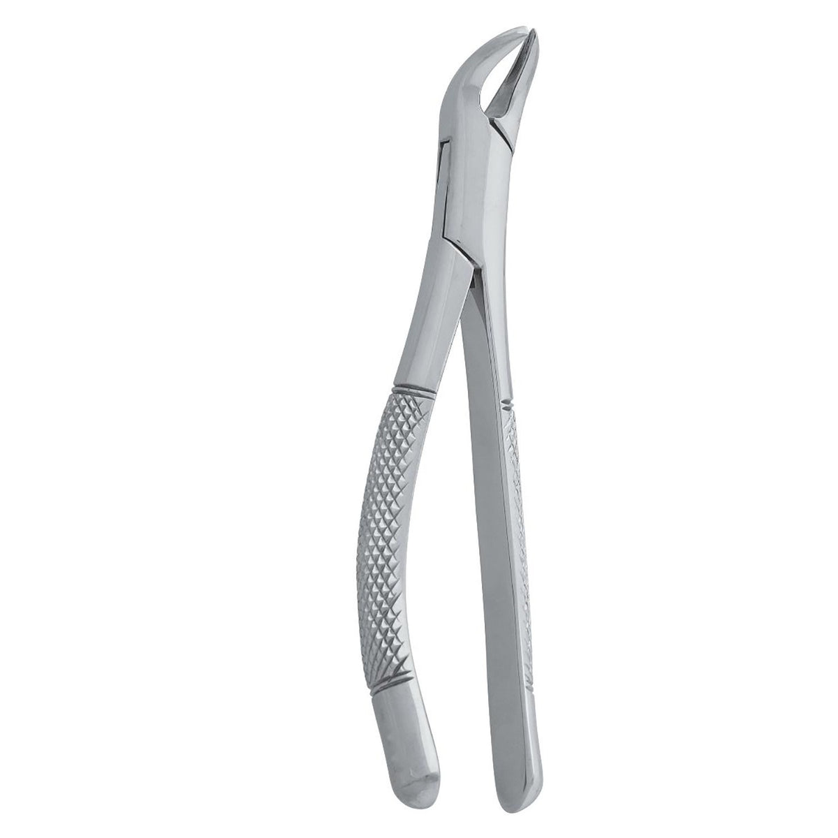 Extracting Forceps Upper Molar with 125mm Dental Extraction Pattern