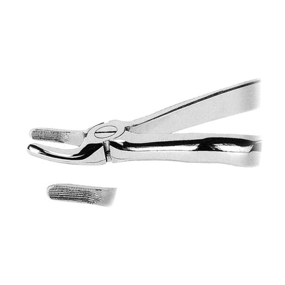 Tooth Extractor Anatomically Shaped Handle