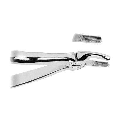 Tooth Extractor Anatomically Shaped Handle
