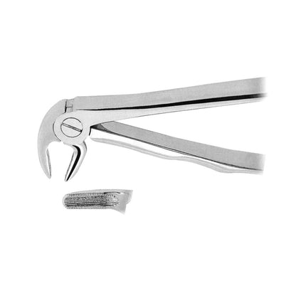 Orthodontic Lower Molar Forceps