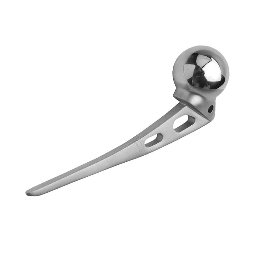 Austin Moore Hip Prosthesis Excel Stainless Steel