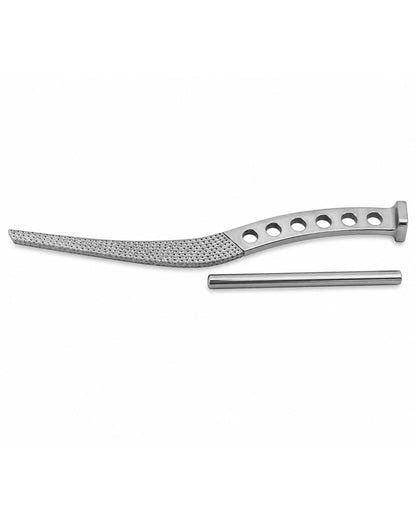Austin Moore Rasp