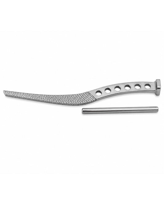 Austin Moore Rasp