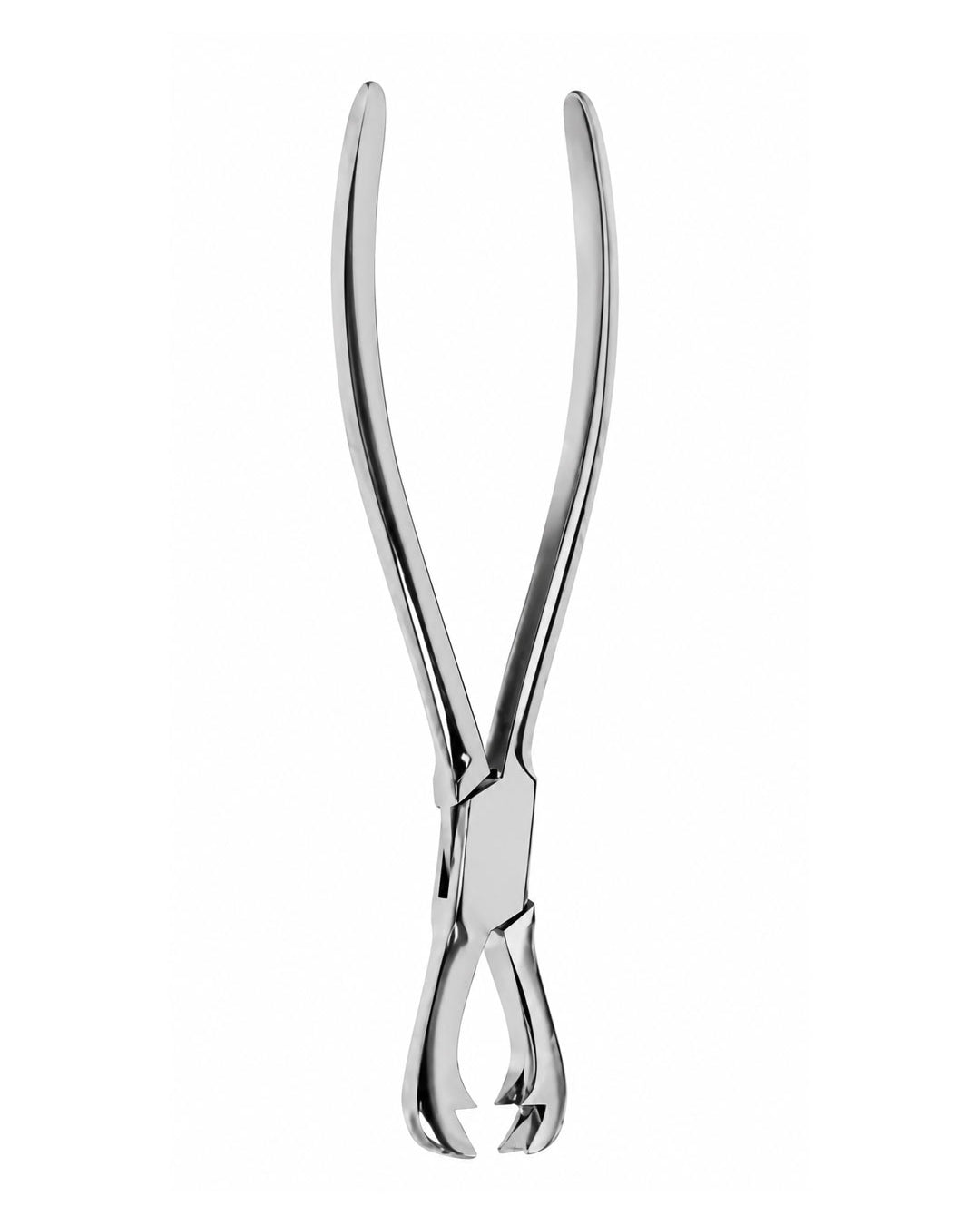 Ferguson Bone Holding Forceps