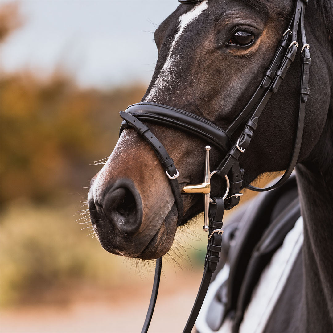 Full Cheek Snaffle Bit with Copper Lozenge