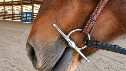 Full Cheek Snaffle Bit with Copper Rollers