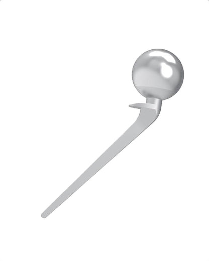 Lazcano Hip Prosthesis Stainless Steel