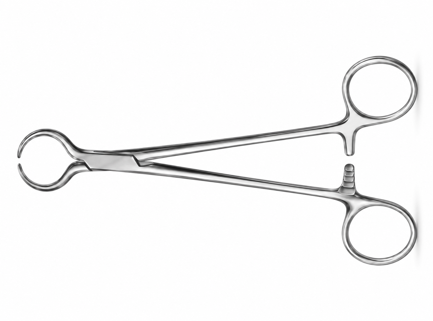 MeisterHand Lewin Bone Holding Forceps
