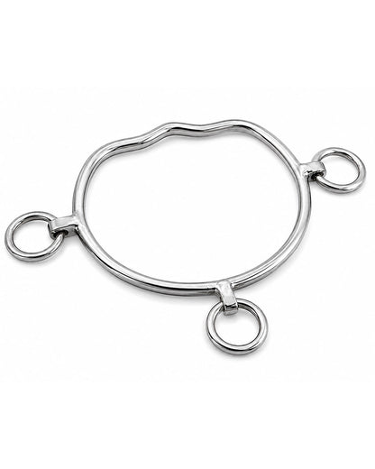 Silver Three-Ring Western Shank Horse Bit