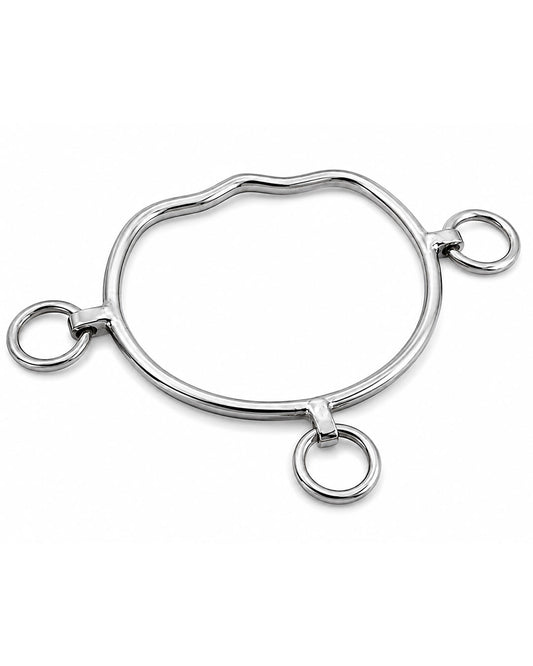 Silver Three-Ring Western Shank Horse Bit
