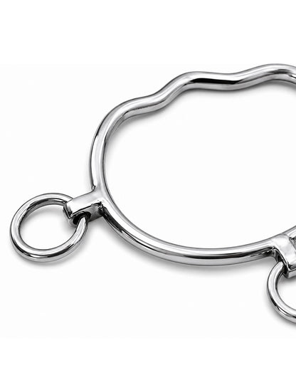 Silver Three-Ring Western Shank Horse Bit