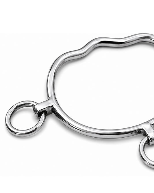 Silver Three-Ring Western Shank Horse Bit