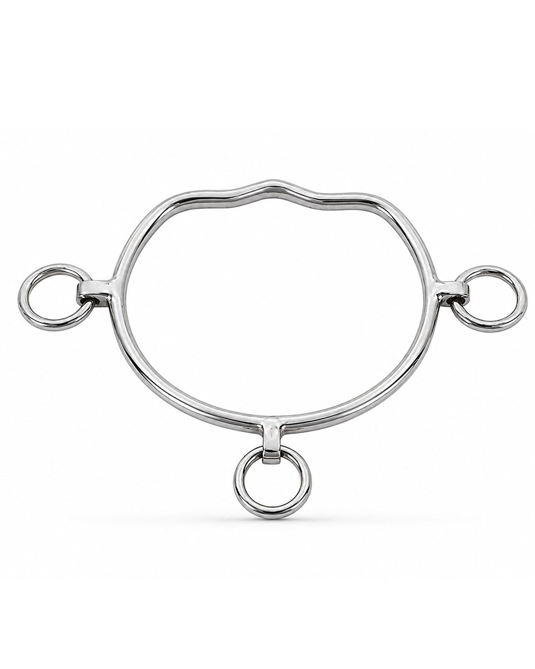 Silver Three-Ring Western Shank Horse Bit