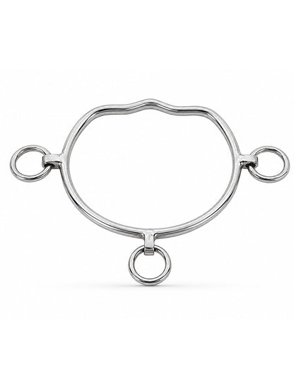 Silver Three-Ring Western Shank Horse Bit