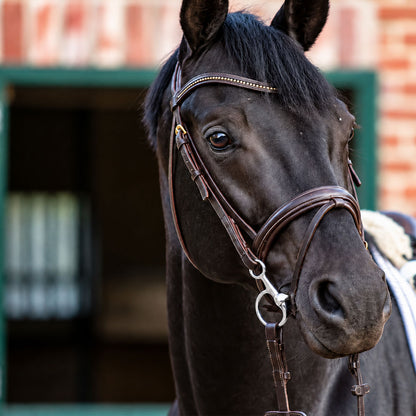 Straight Bar Baucher Horse Bit