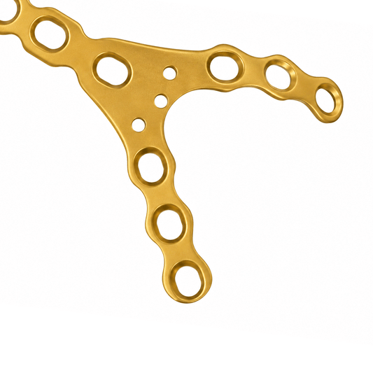 Y Fork Plate Stainless Steel & Titanium