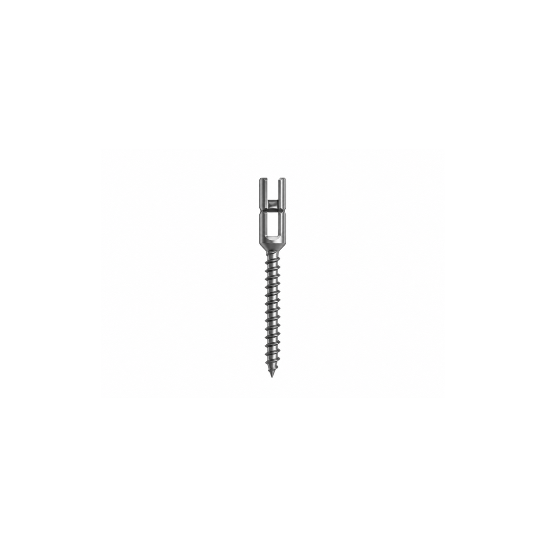 Monoaxial Reduction Screw Titanium