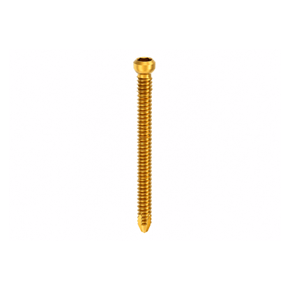 Nexgen Locking Screw