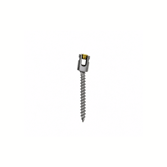 Polyaxial Pedicle Screw Titanium