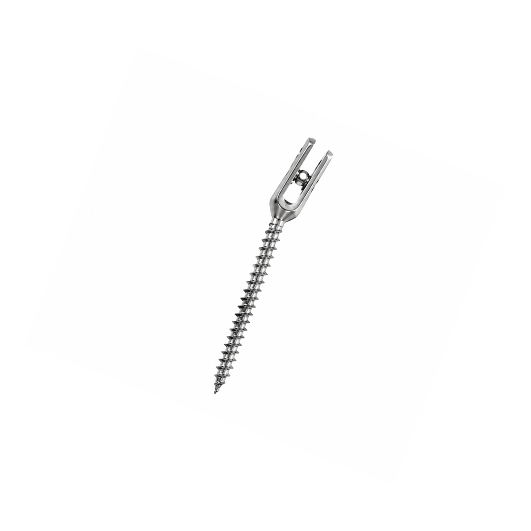 Polyaxial Reduction Screw Titanium