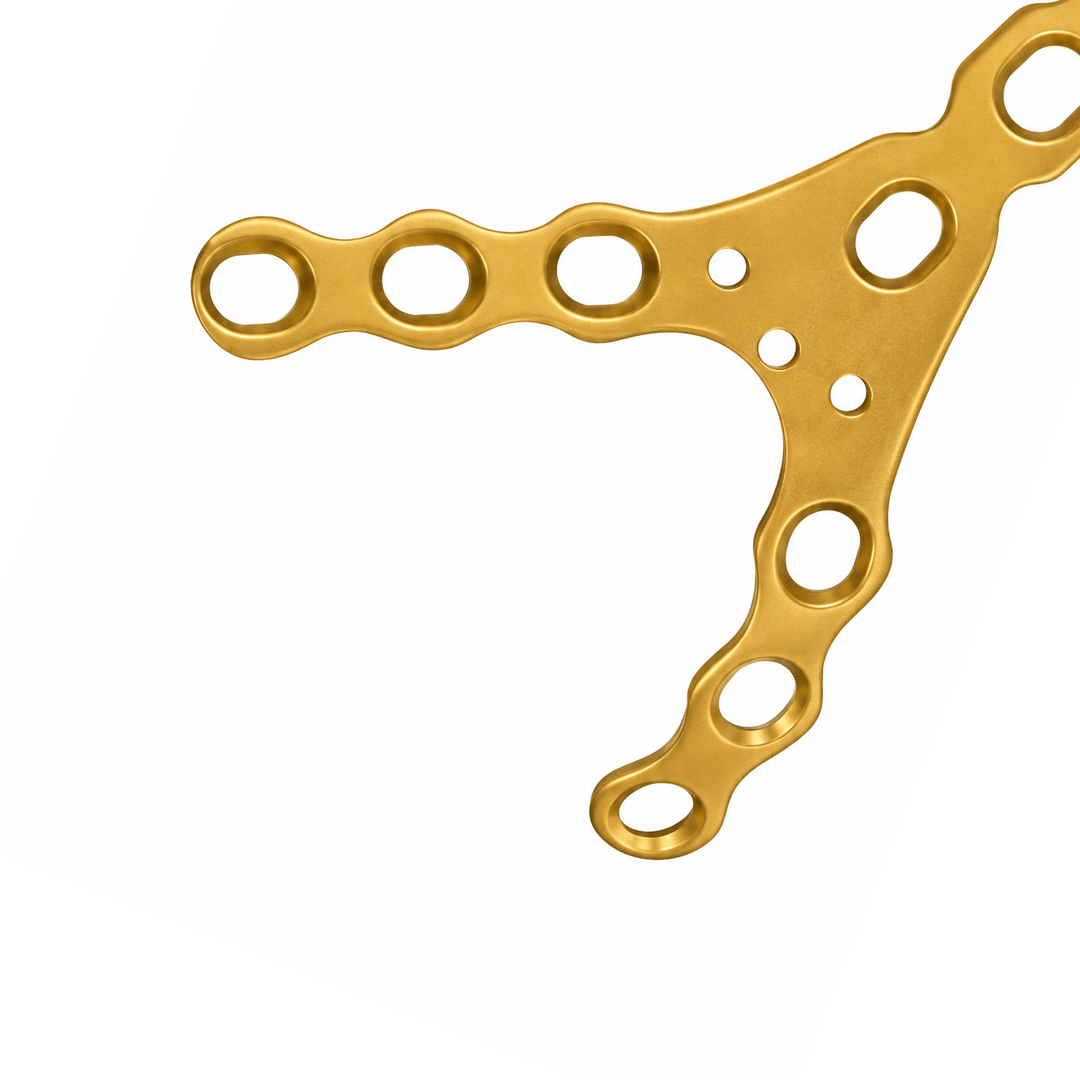 Y Fork Plate Stainless Steel & Titanium
