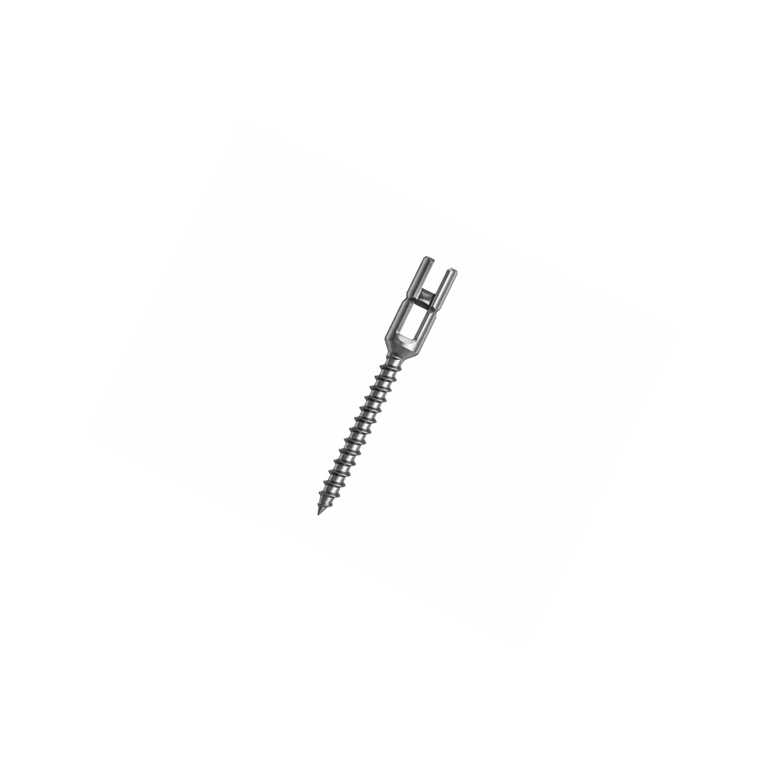 Monoaxial Reduction Screw Titanium