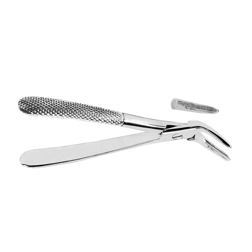 Witzel Lower Roots Forceps With Serrated Tips