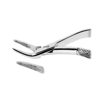 Witzel Upper Roots with Serrated Tips