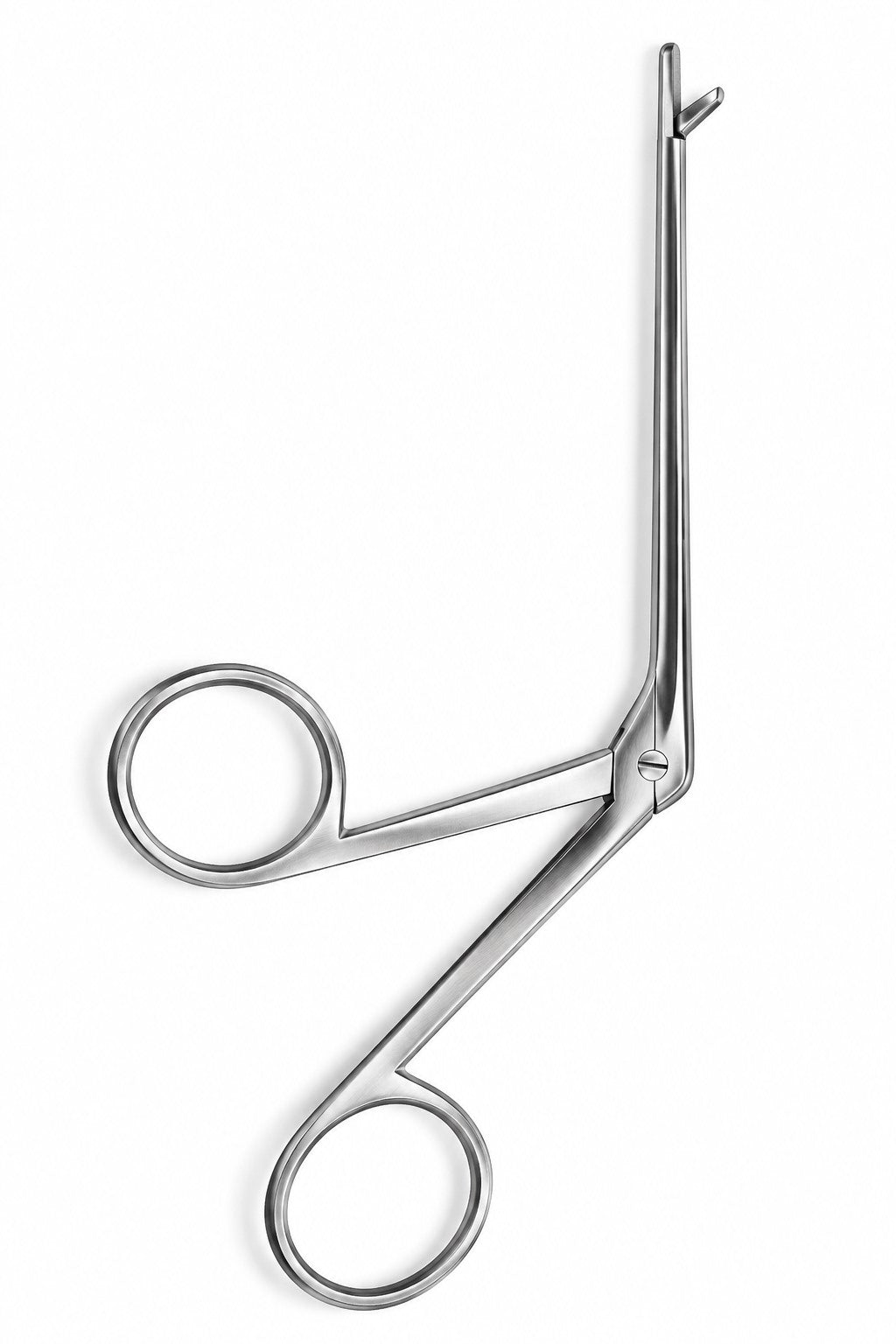 Strucycken Aural Forceps 76mm