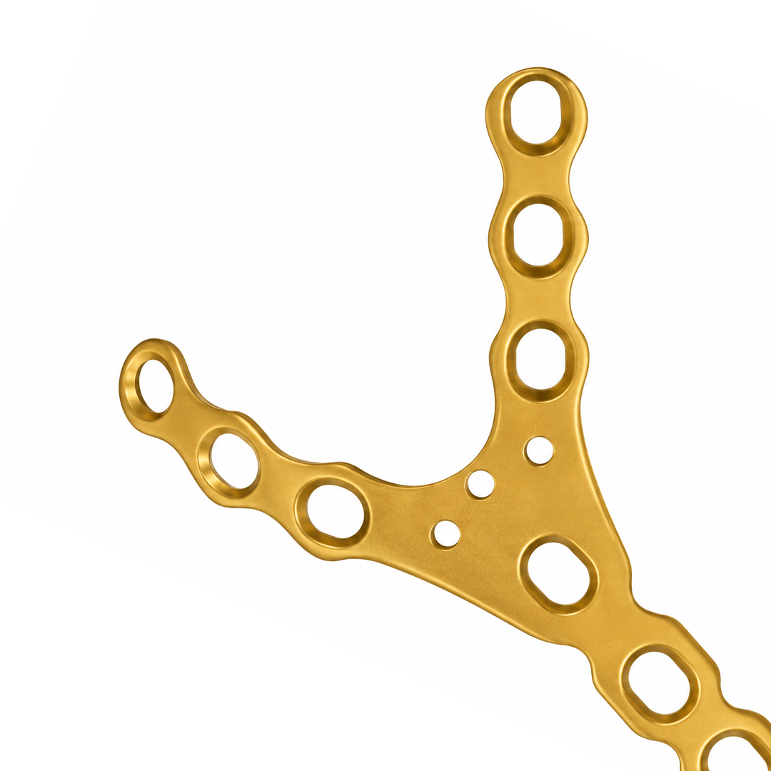Y Fork Plate Stainless Steel & Titanium